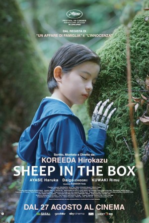 Locandina di Sheep in the Box